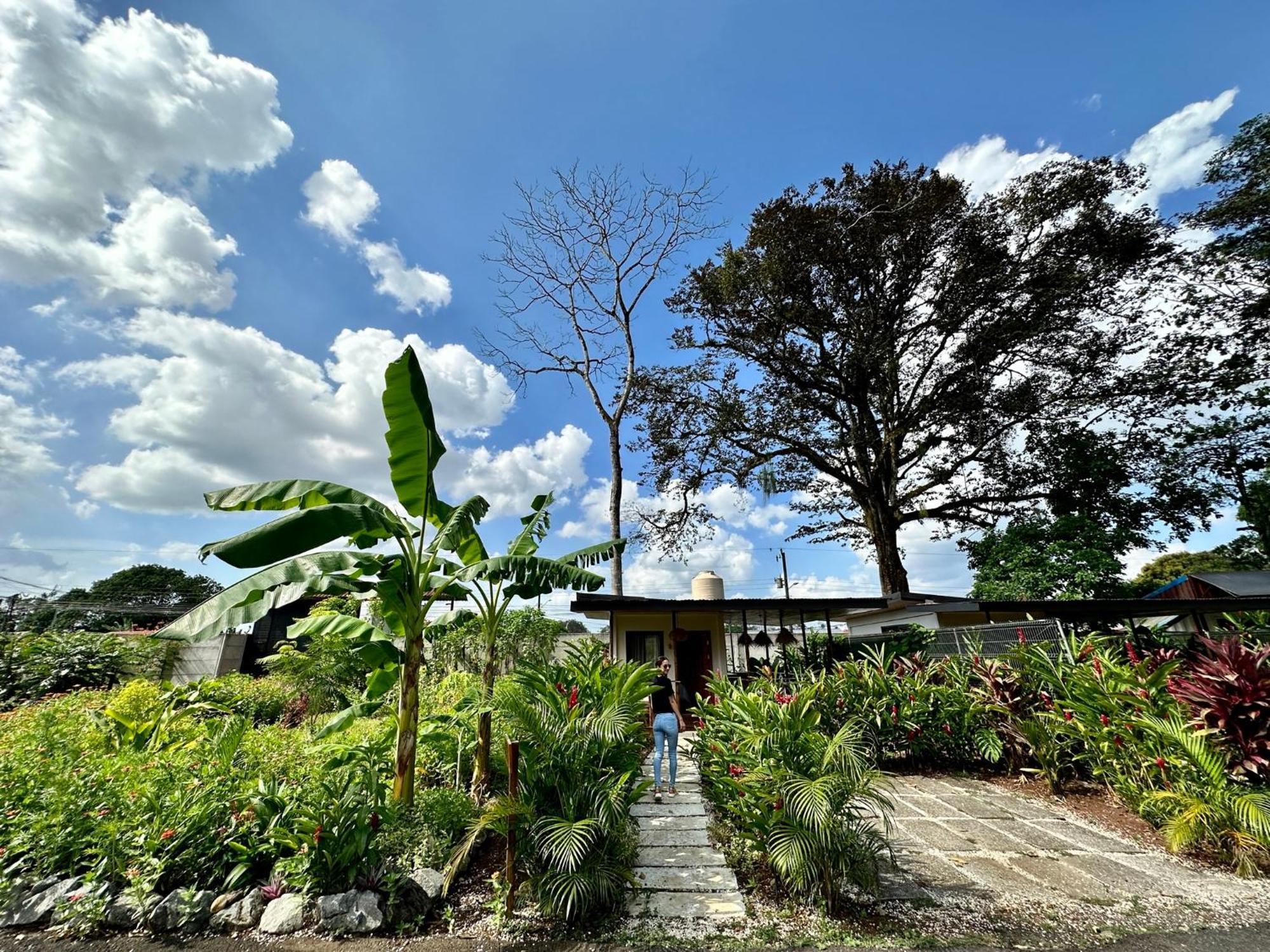 Almendros Eco-Villas La Fortuna Ngoại thất bức ảnh