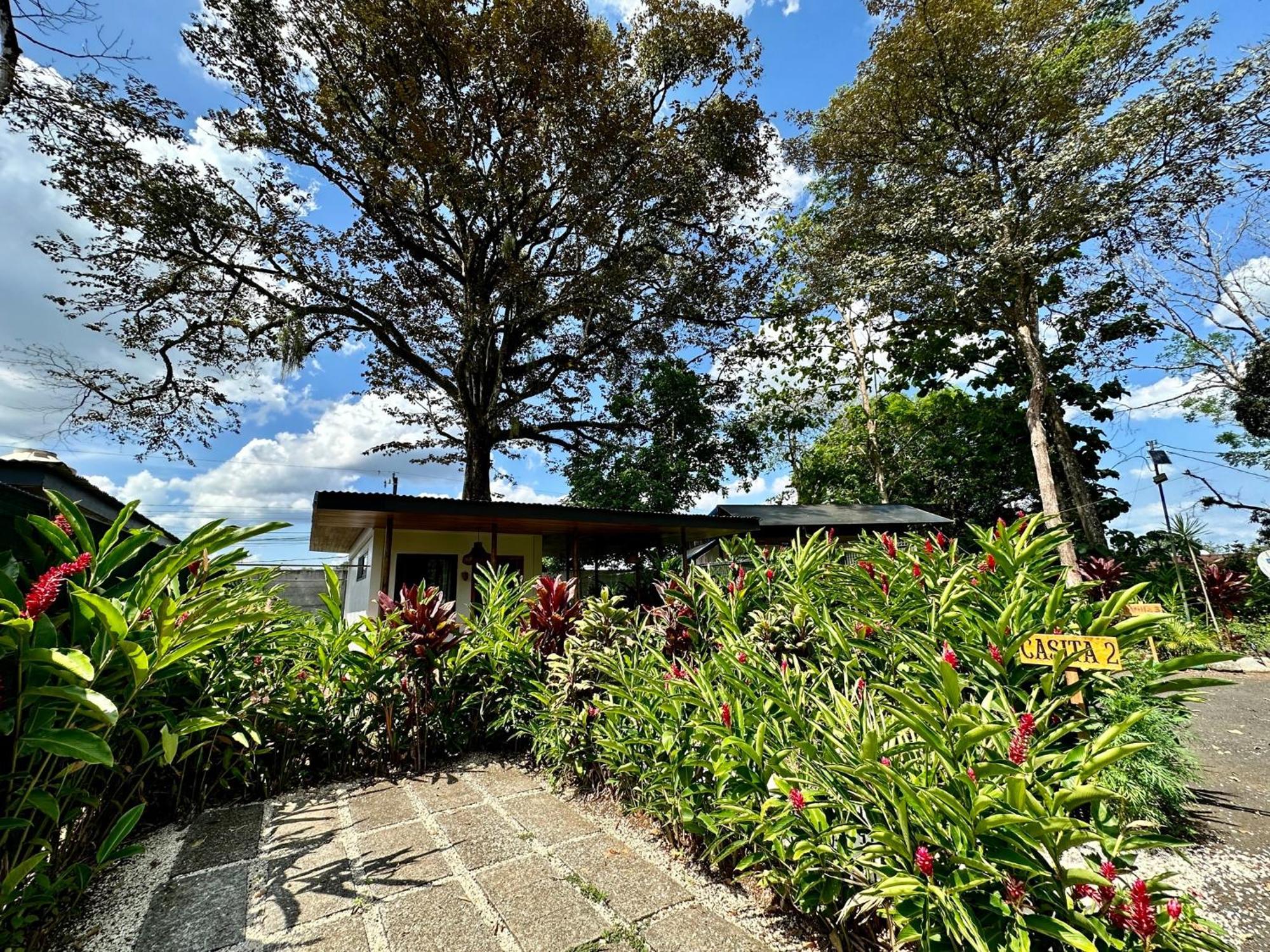 Almendros Eco-Villas La Fortuna Ngoại thất bức ảnh