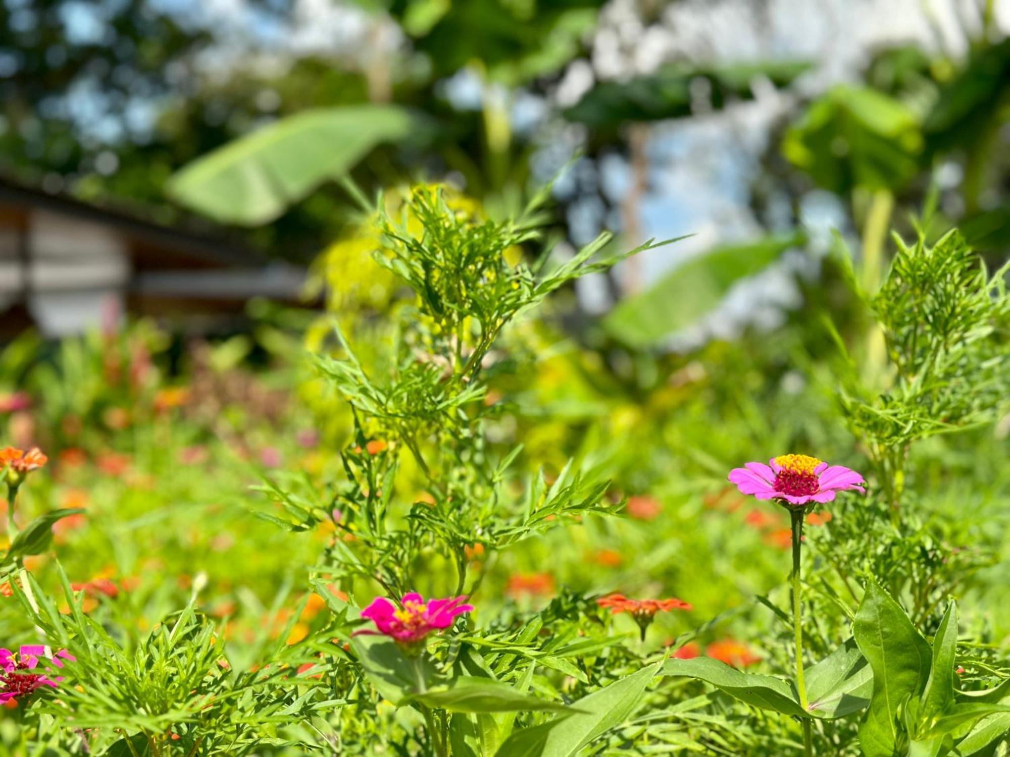 Almendros Eco-Villas La Fortuna Ngoại thất bức ảnh