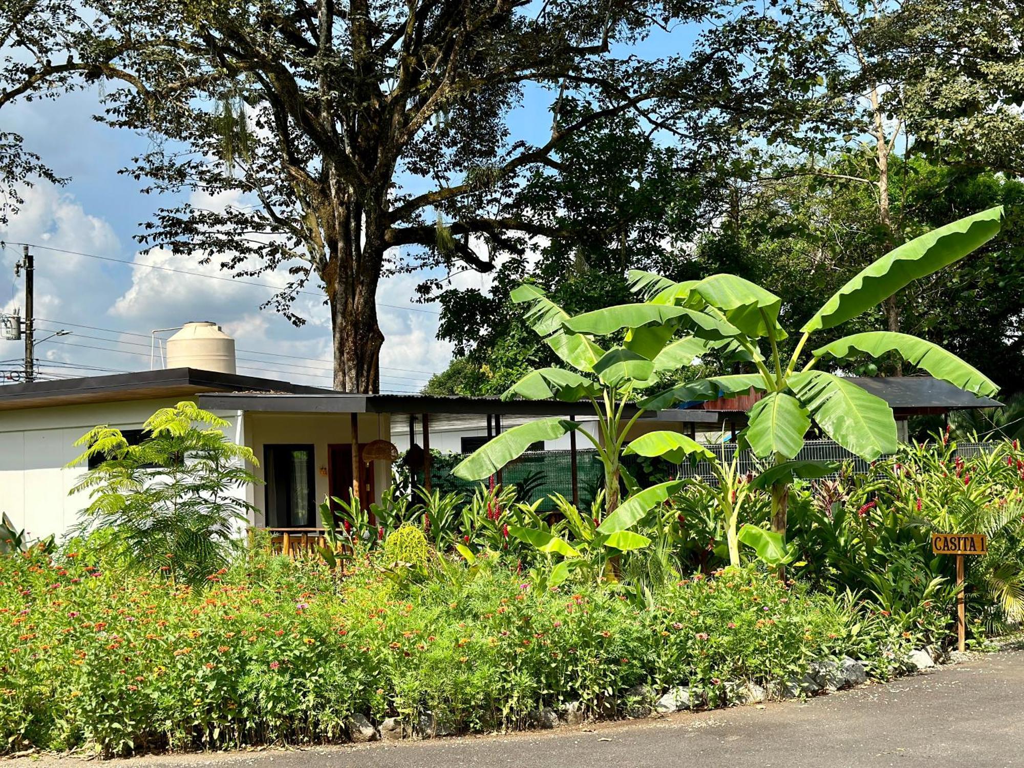 Almendros Eco-Villas La Fortuna Ngoại thất bức ảnh