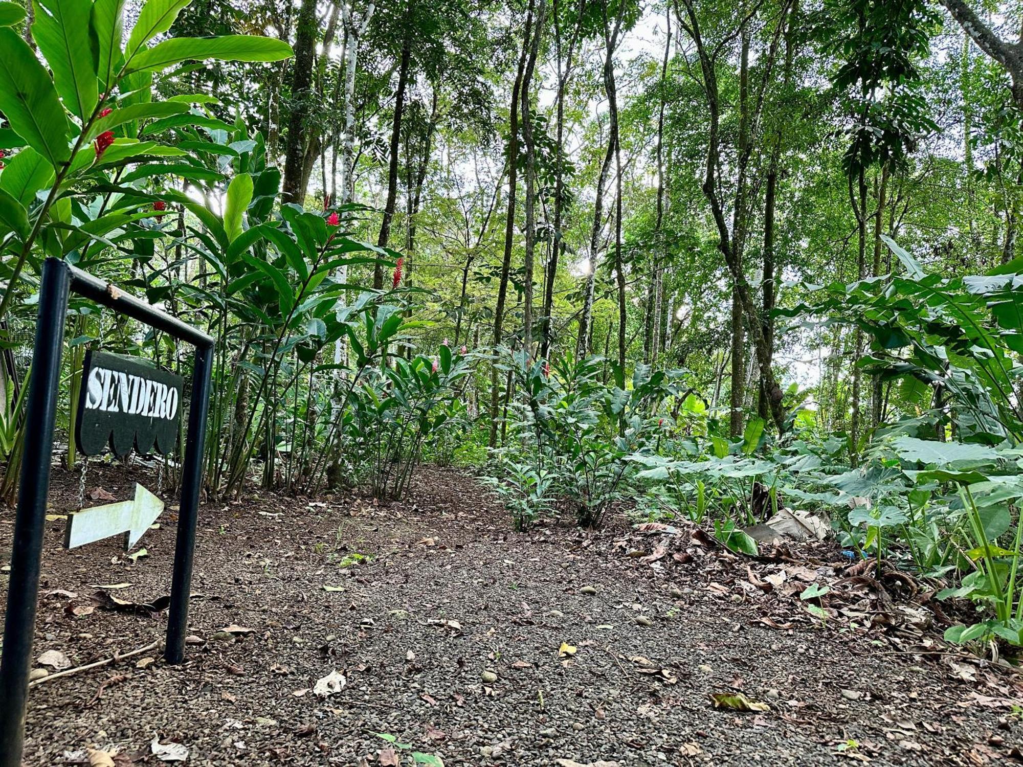 Almendros Eco-Villas La Fortuna Ngoại thất bức ảnh